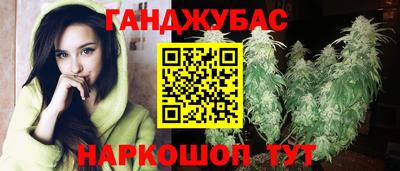 прущий лед Гай