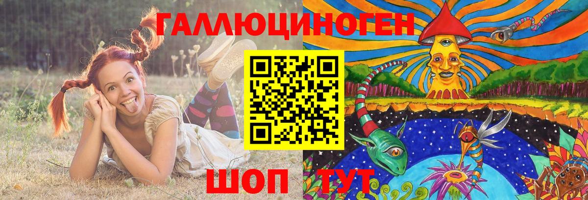 как найти закладки  Галлюциногенные грибы Psilocybe  Галлюциногенные грибы Cubensis  Вход с VPN  Муравленко 